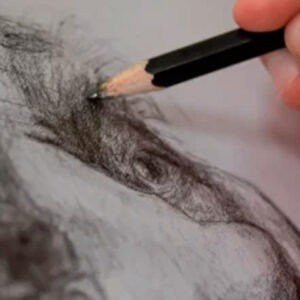 Dibujo (2025 / 2026)