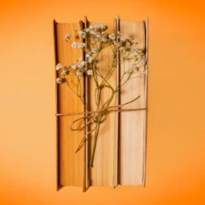 Encuadernación 1º (2025 / 2026)