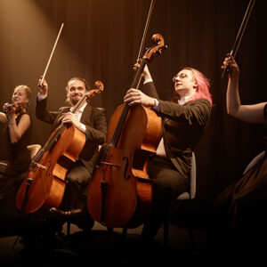 Camerata Colaboradores (2025 / 2026)