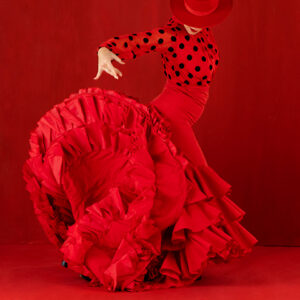 Taller Flamenco Adultos 60 min (2026/2027)