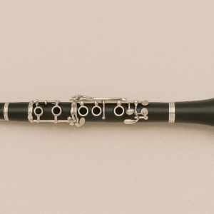 Clase Colectiva Clarinete (2026/2027) OPTATIVA MUSICA CLASICA