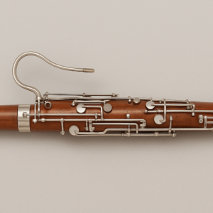 Clase Colectiva Fagot (2026/2027) OPTATIVA MUSICA CLASICA
