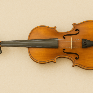 Clase Colectiva Violín (2026/2027) OPTATIVA INSTRUMENTAL MUSICA CLASICA
