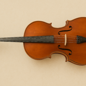 Clase colectiva Violonchelo (2026/2027) OPTATIVA INSTRUMENTAL MUSICA CLASICA